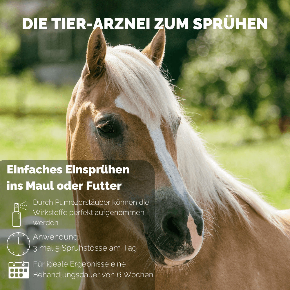 4262416550531_DE_4