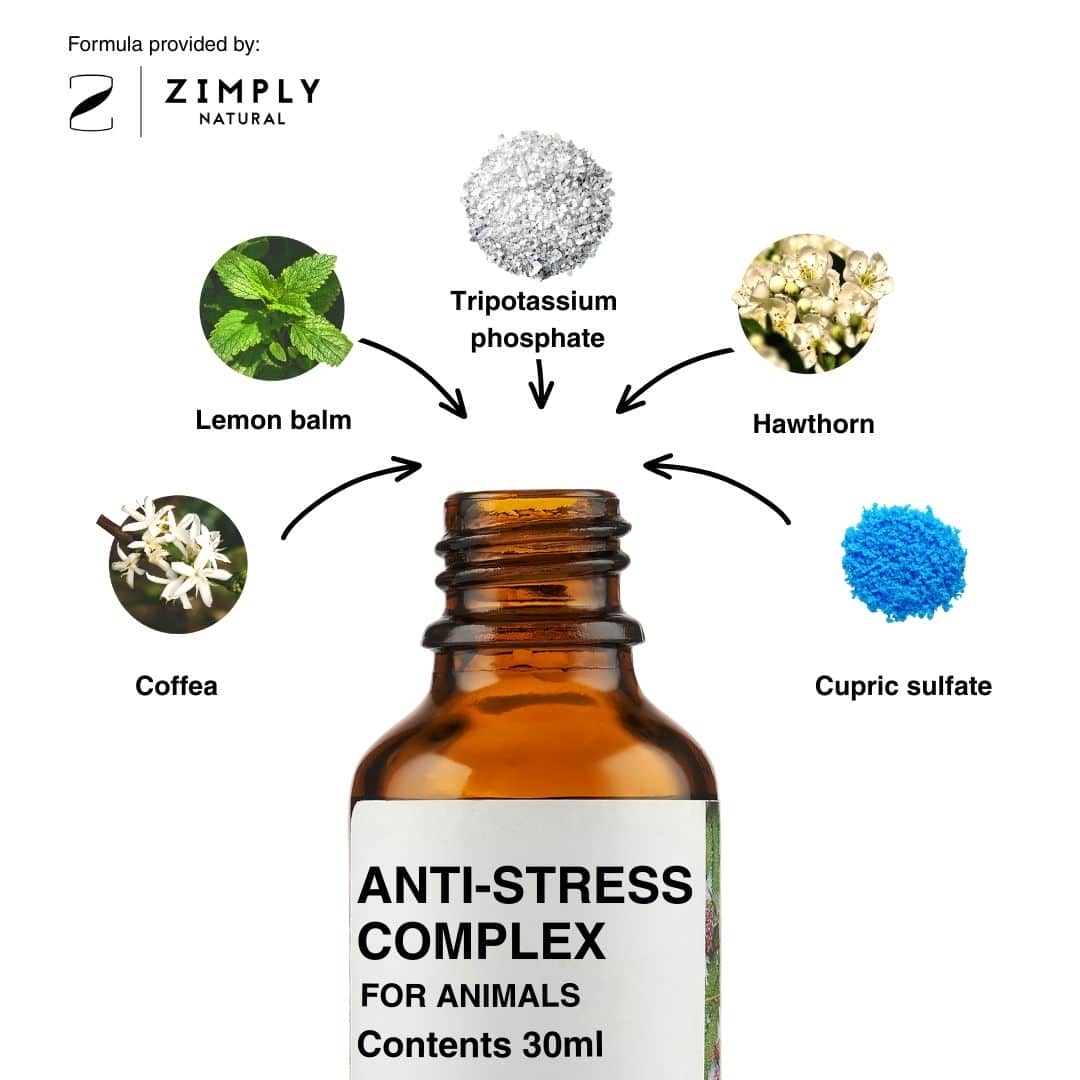 4262416550562_EN_2