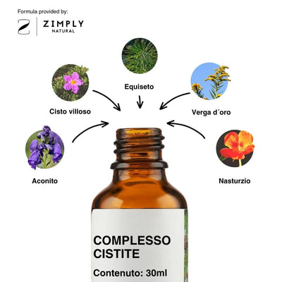 4262416553877_IT_2