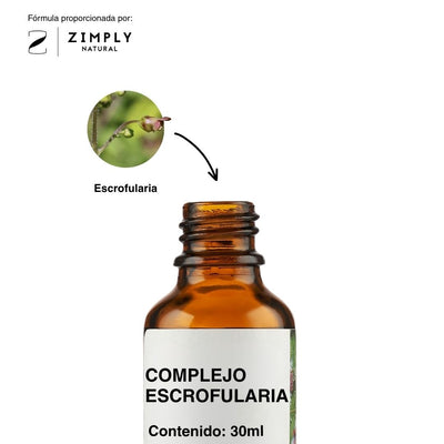 4262416552313_ES_2