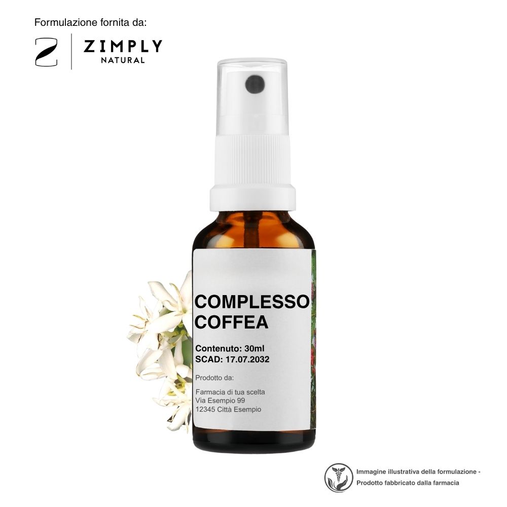 4262416553174_IT_0