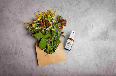 https://cdn.zimplynatural.com/2025/09/copd_lifestyle_DE.jpg