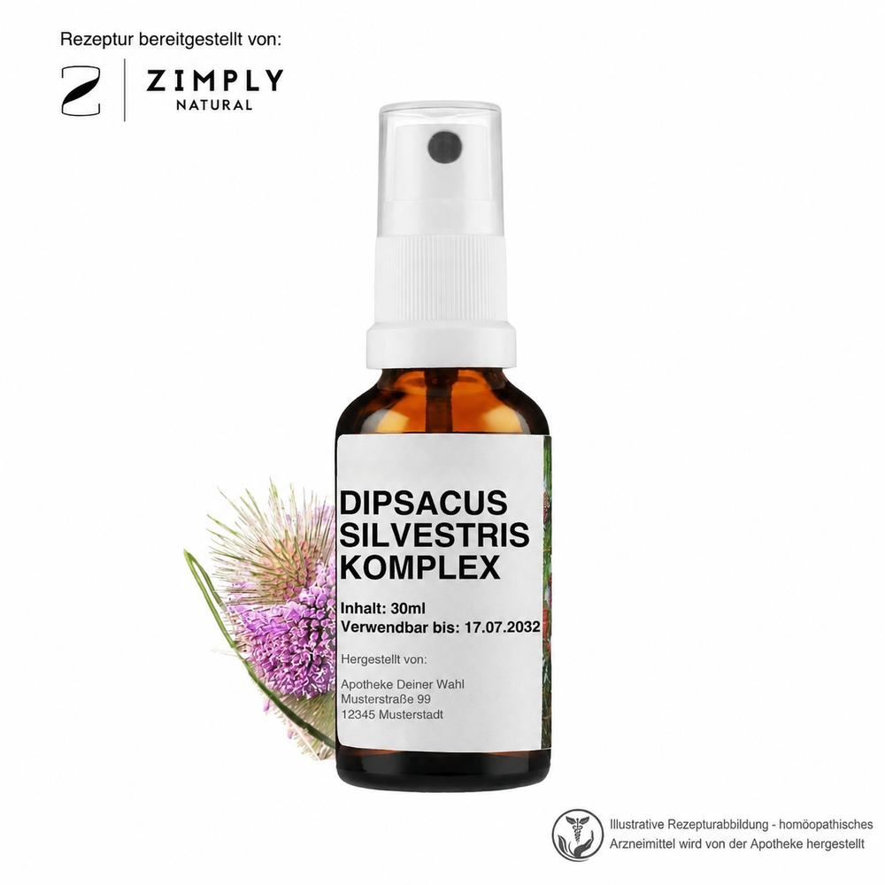 DIPSACUS SILVESTRIS KOMPLEX