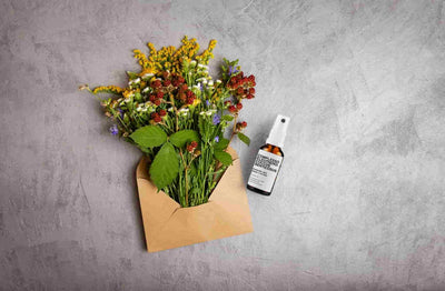 4262416553419_IT_5