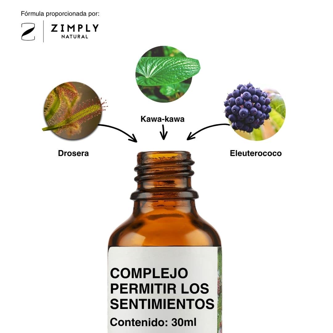 4262416550807_ES_2