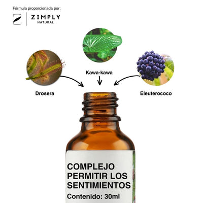 4262416550807_ES_2