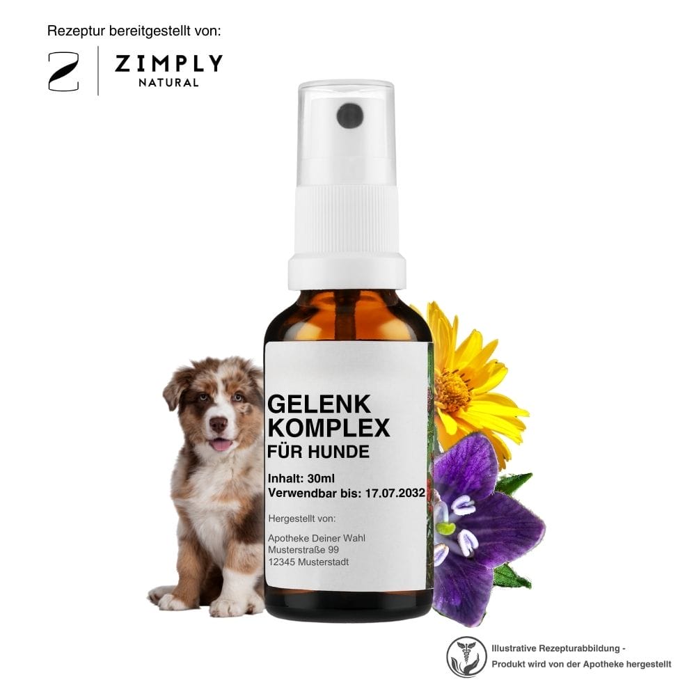 https://www.zimplynatural.com/wp-content/uploads/2025/09/gelenk_hund_hero_B_DE.jpg