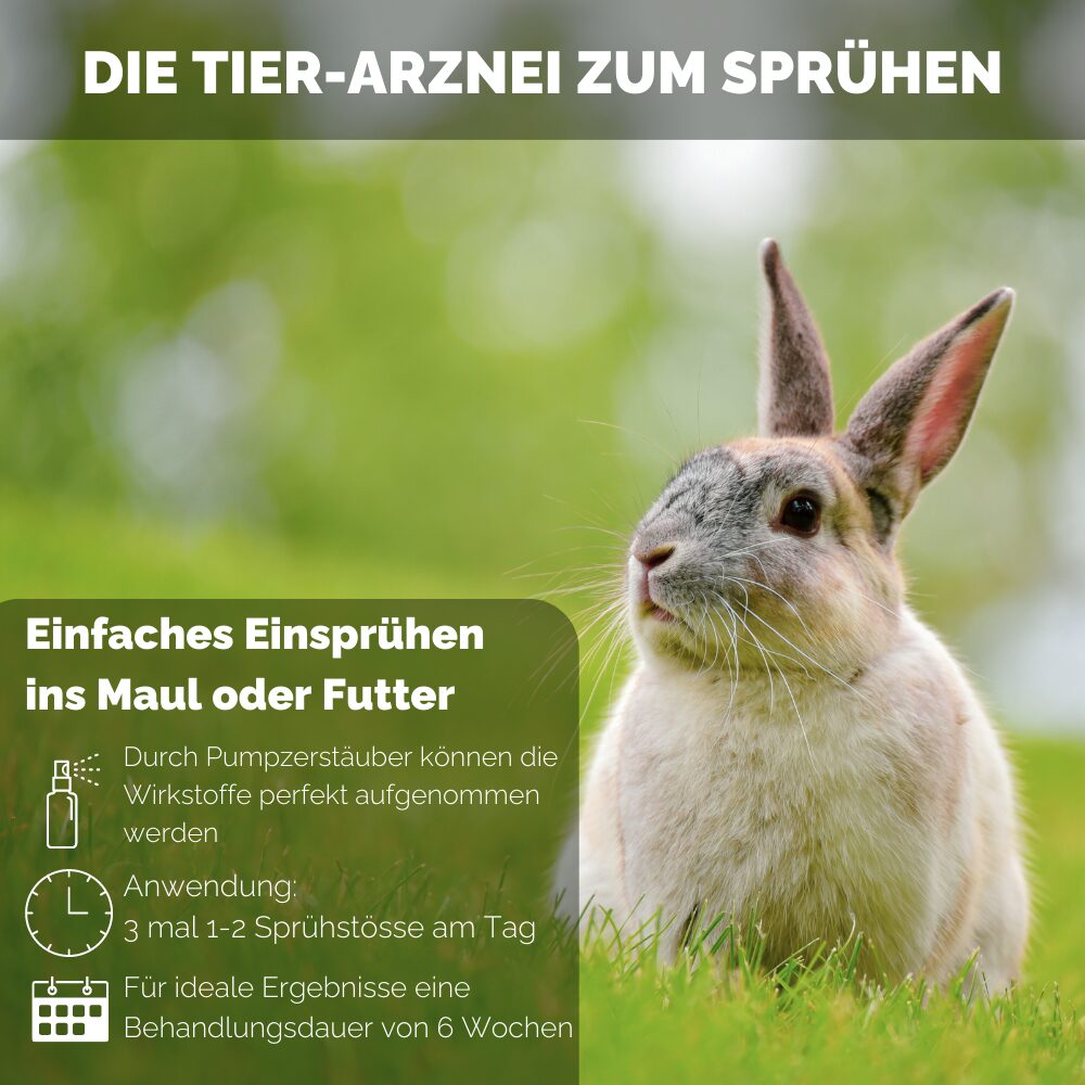 4262416550548_DE_4