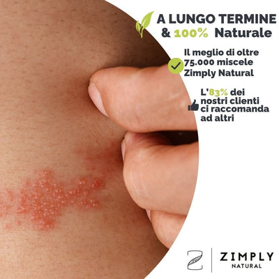 4262416550272_IT_1