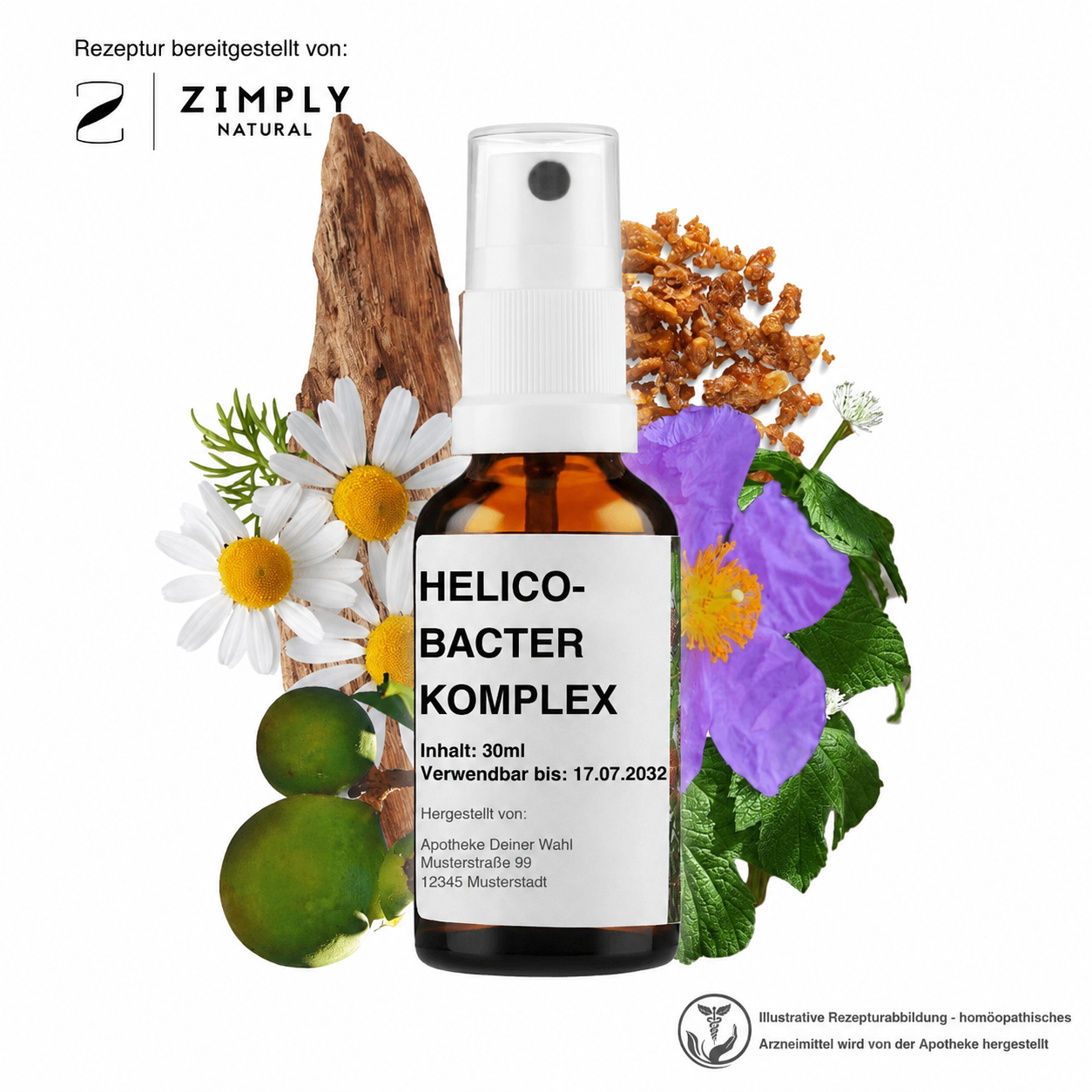 HELICOBACTER KOMPLEX