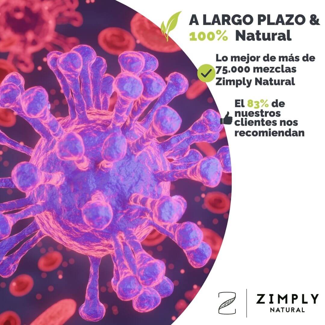 4262416554317_ES_1