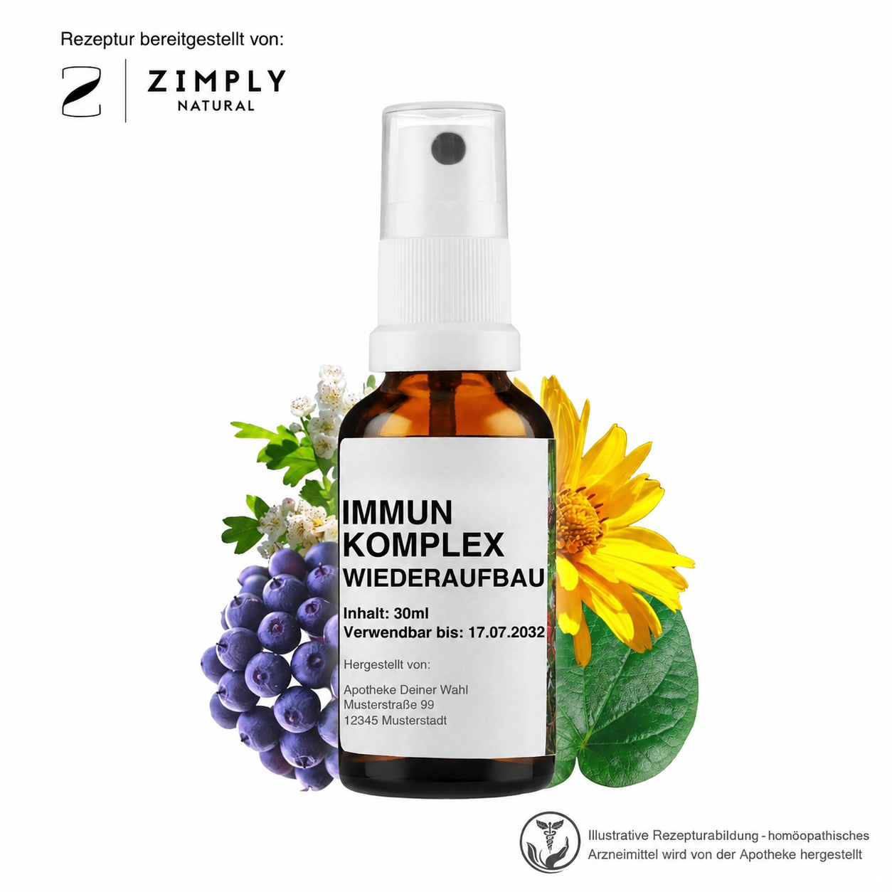 IMMUN KOMPLEX WIEDERAUFBAU