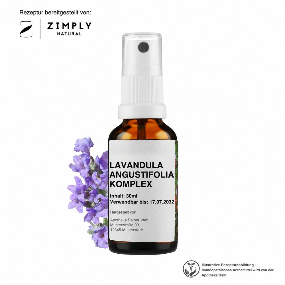 LAVENDULA ANGUSTIFULIA KOMPLEX
