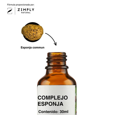 4262416552023_ES_2