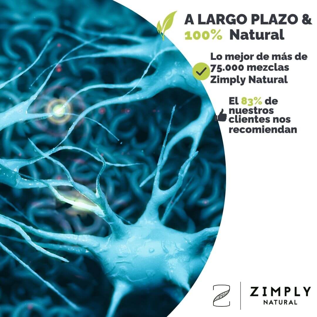 4262416554324_ES_1