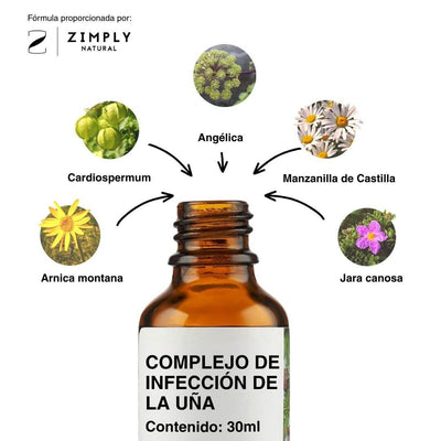 4262416554256_ES_2
