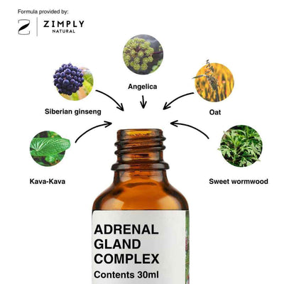 4262416554072_EN_2