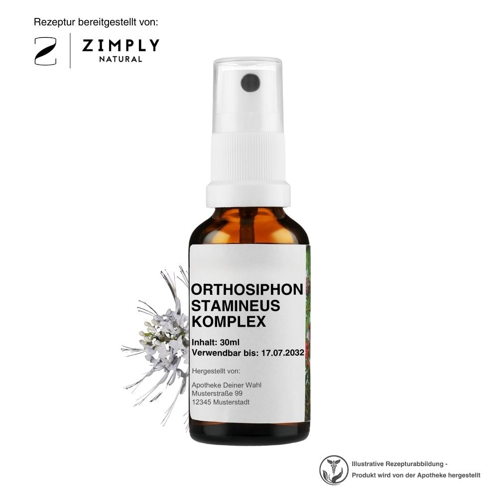 https://www.zimplynatural.com/wp-content/uploads/2025/09/orthosiphonstamineus_hero_B_DE.jpg