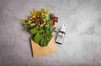 4262416552610_FR_5