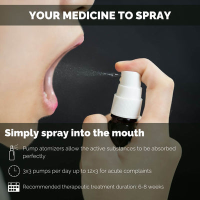 4262416554287_EN_4