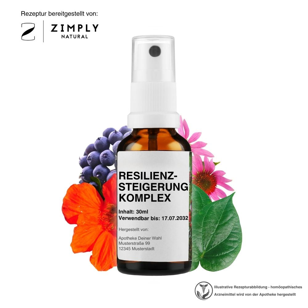 RESILIENZSTEIGERUNG KOMPLEX