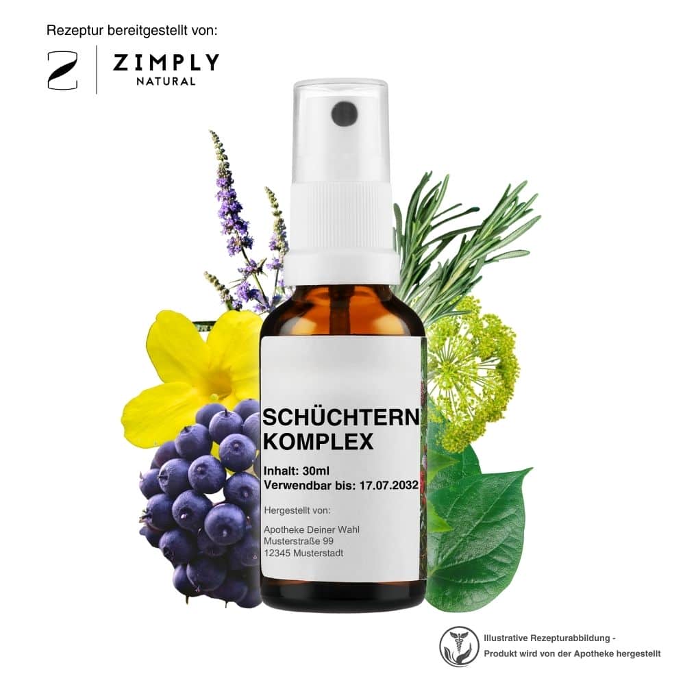 https://www.zimplynatural.com/wp-content/uploads/2025/09/schuechtern_hero_B_DE.jpg