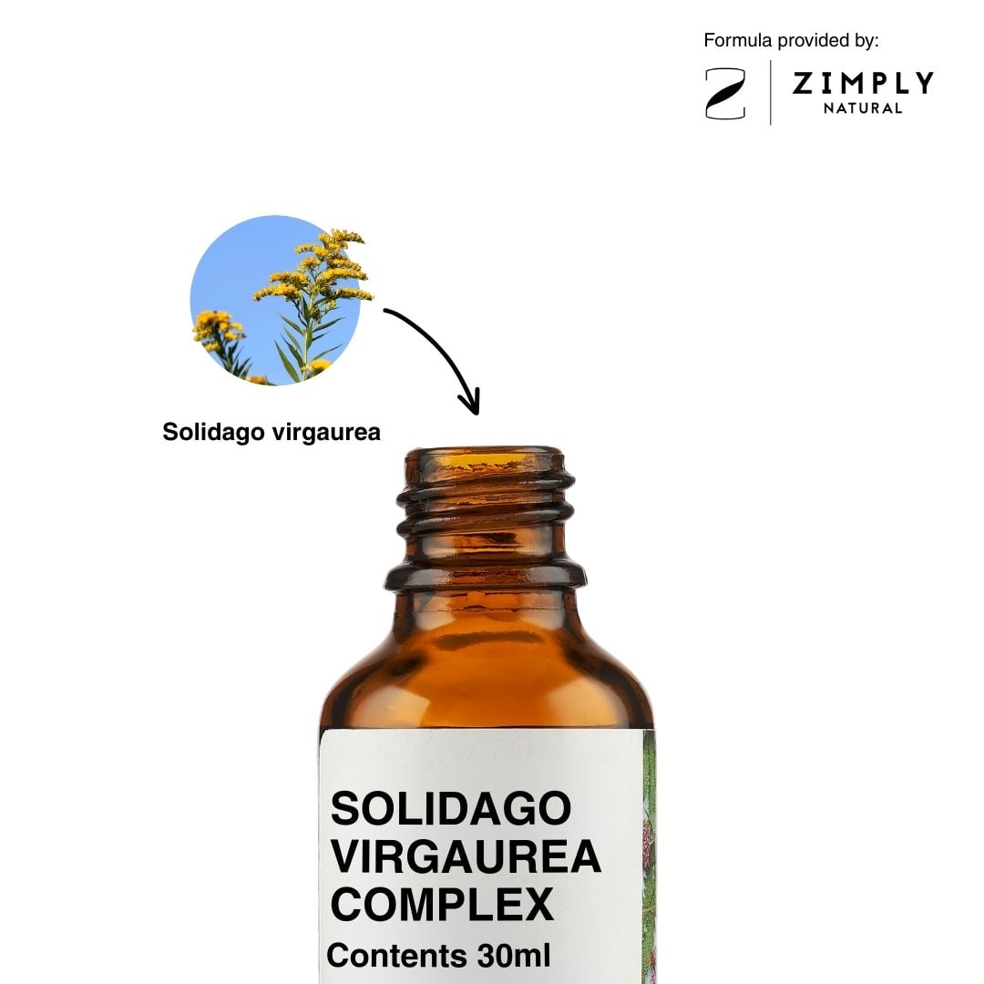 4262416552849_EN_2