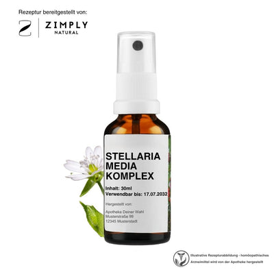 STELLARIA MEDIA KOMPLEX