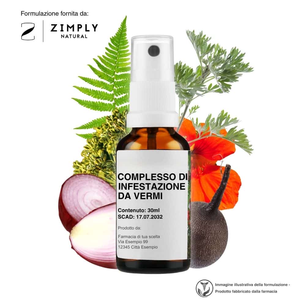 4262416553952_IT_0