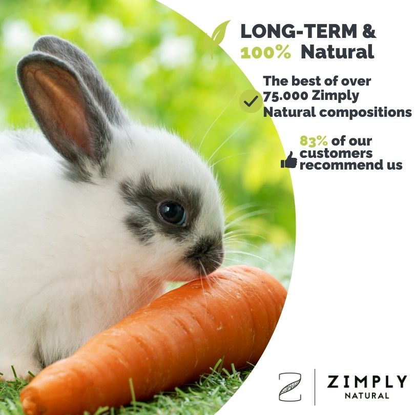 4262416550555_EN_1