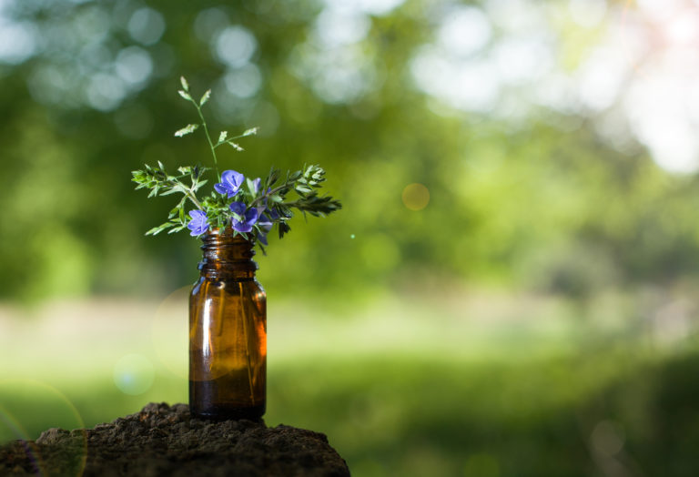 bouteille brunâtre symbolisant l'essence de fleurs de Bach, bouteille avec des fleurs bleues qui se trouvent dans la nature symbole des fleurs de Bach