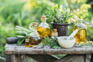 medicinal plants aesthetically arranged in nature with glass vessels