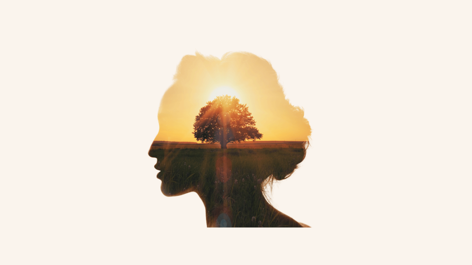 Un contour de tête de femme rempli d'une image avec un arbre et un coucher de soleil