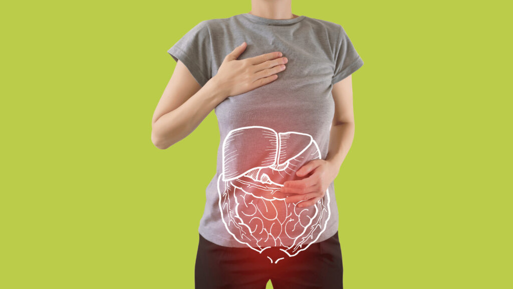 Un corpo con una maglietta grigia ha un disegno bianco di tutti gli organi coinvolti nella digestione su uno sfondo verde.