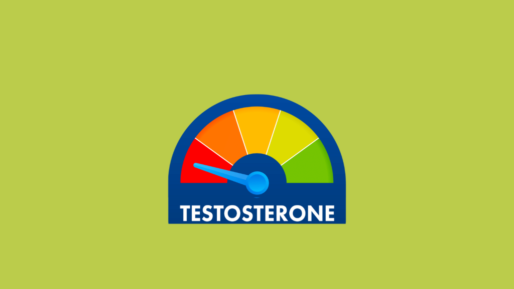 Une échelle avec des bandes rouges, orange, jaunes, vertes et l'indication du niveau dans la zone rouge. Le graphique est appelé testostérone.