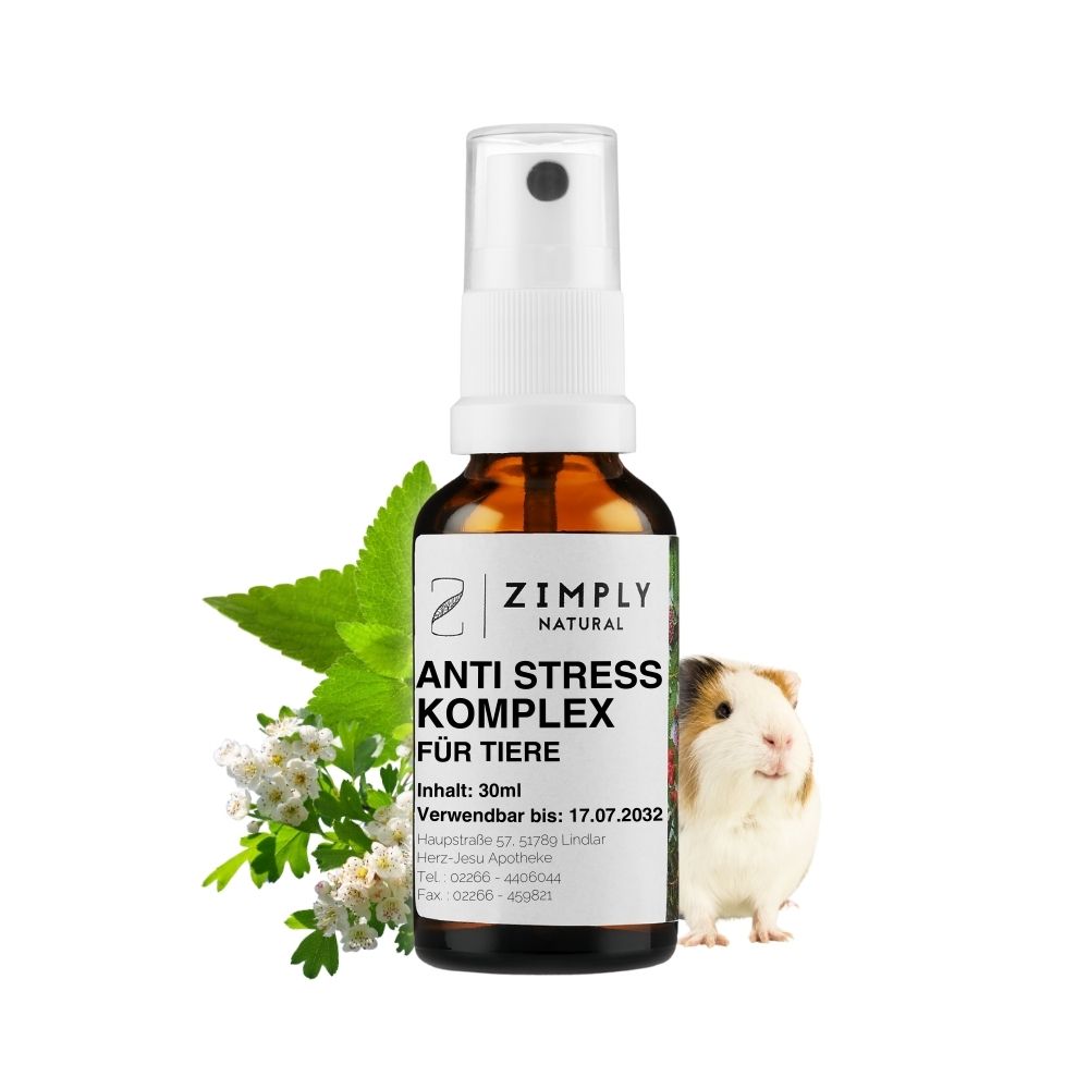 Anti-stress complex for animals as a brown flake with spray head from Zimply Natural with a guinea pig and medicinal plants in the background such as coffee bush, lemon balm, potassium phosphate, hawthorn, cuprum sulfuricum