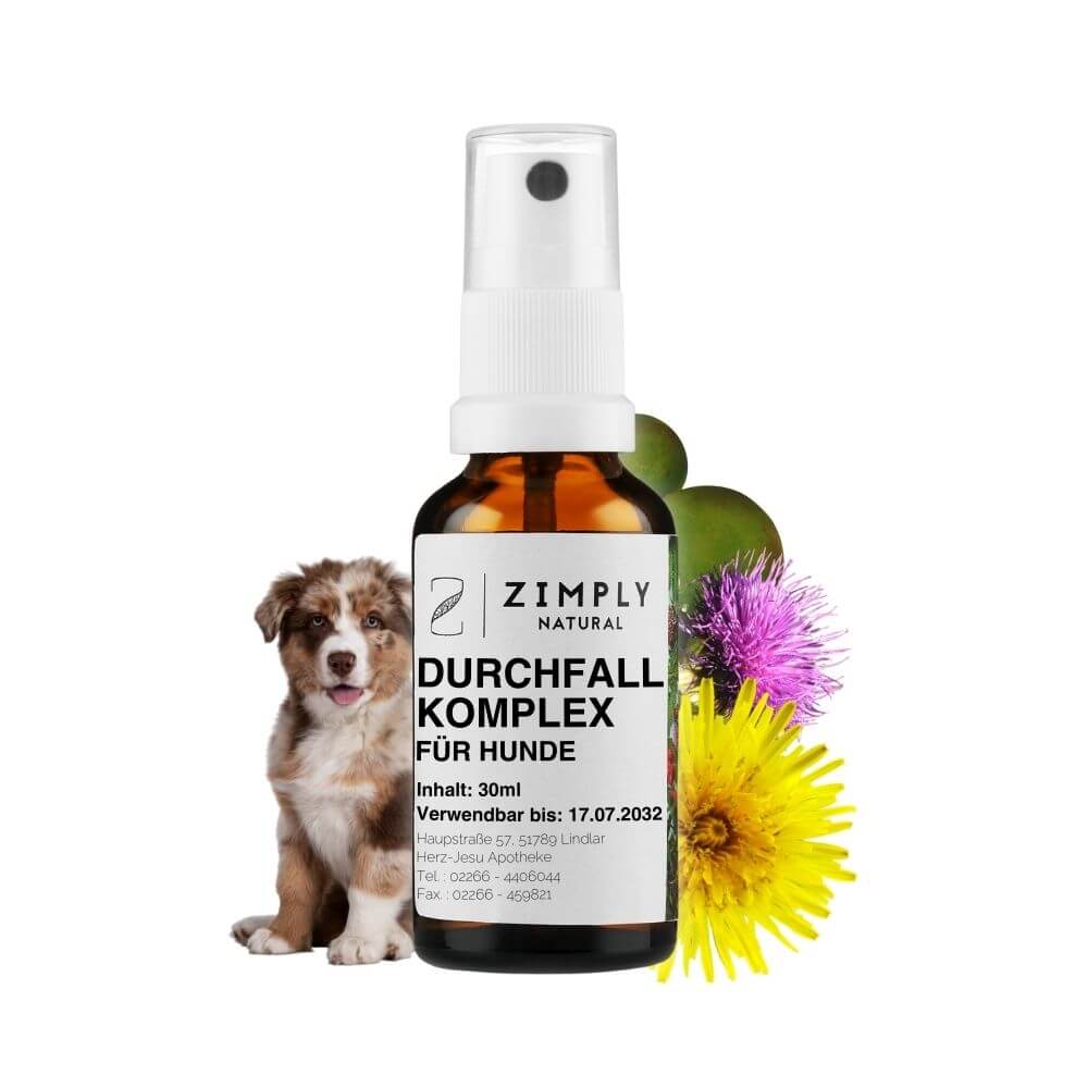 Complexe anti-diarrhée pour chiens en flacon brun avec tête de pulvérisation de Zimply Natural avec des plantes médicinales en arrière-plan comme le chardon-marie, le pissenlit, le sel de Glauber, le noyer cendré, le coloquinte.