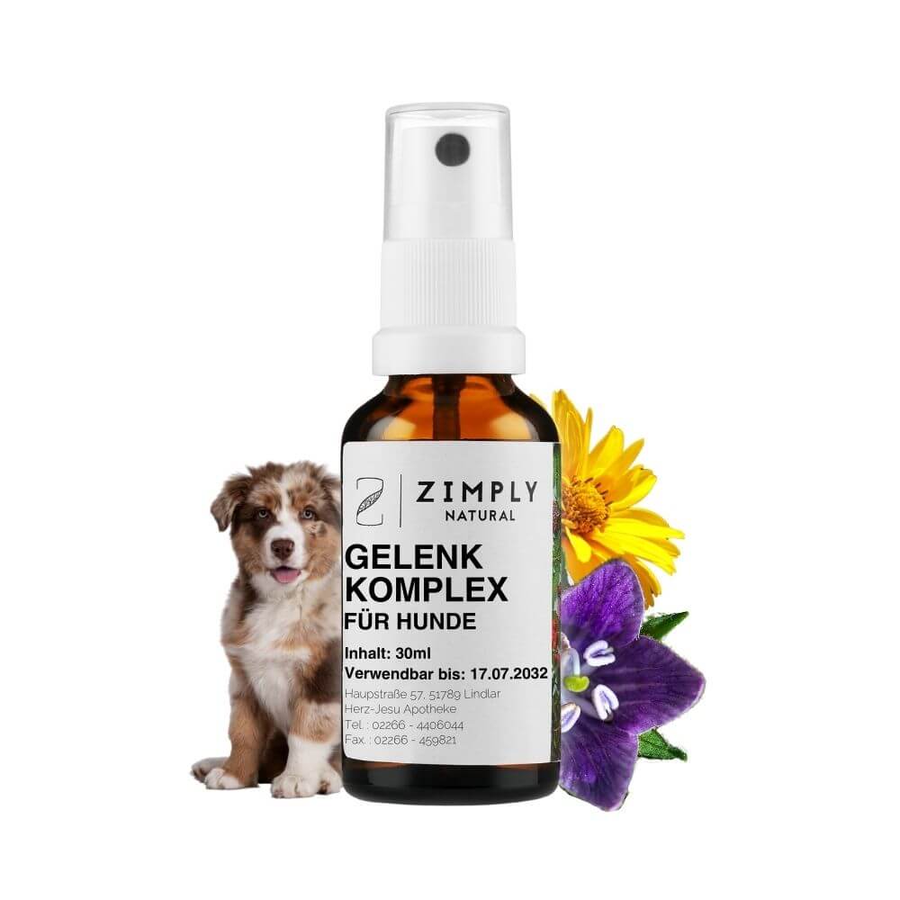 Joint complex for dogs as brown flakes with spray head from Zimply Natural with medicinal plants in the background such as silicic acid, arnica, calcium phosphate, mandrake, fenugreek