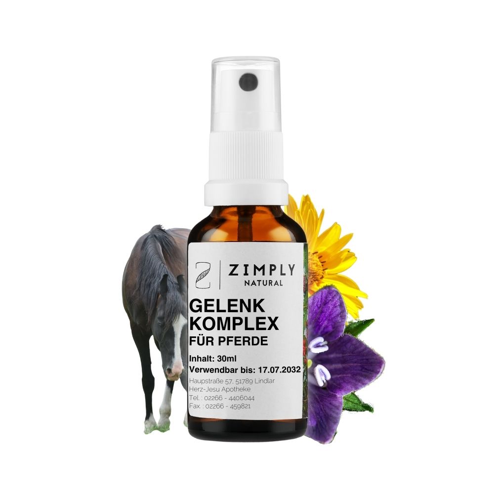 Joint complex for horses as a brown flake with spray head from Zimply Natural with a brown horse and medicinal plants in the background such as meadowsweet, arnica, wild teasel, mandrake, fenugreek