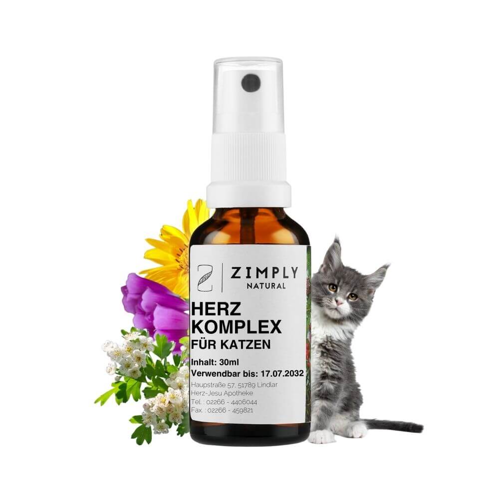 Heart complex for cats as a brown flake with spray head from Zimply Natural with a gray cat and medicinal plants in the background such as hawthorn, red foxglove, magnesium, potassium salt and arnica