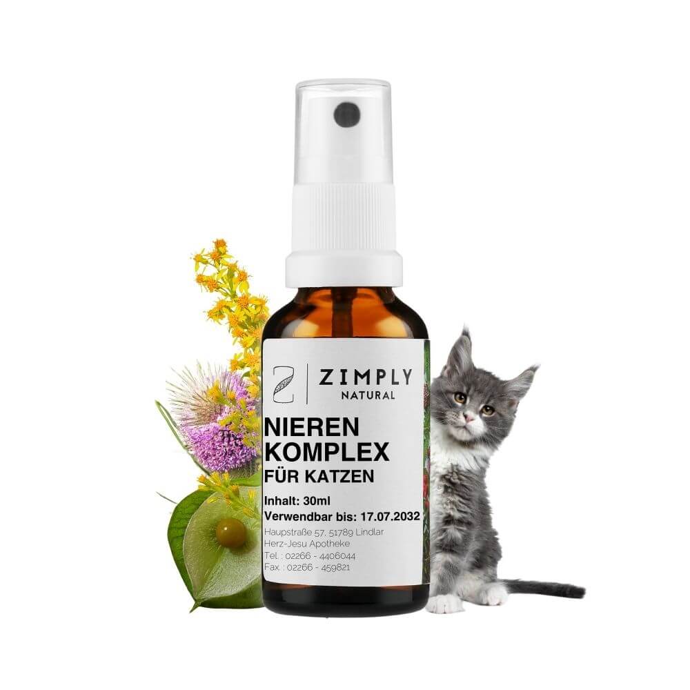 Kidney complex for cats as a brown flake with spray head from Zimply Natural with a gray cat and medicinal plants in the background such as goldenrod, Glauber's salt, balloon plant, white birch, wild teasel