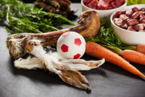 Rabbit ear as food for the dog, ball can be seen in the picture, as well as other healthy vegetables