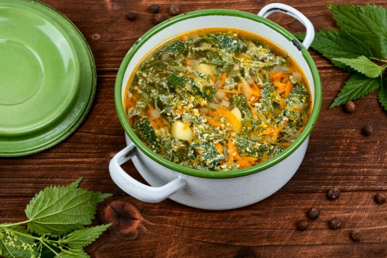 La soupe d'orties comme alimentation anti-inflammatoire