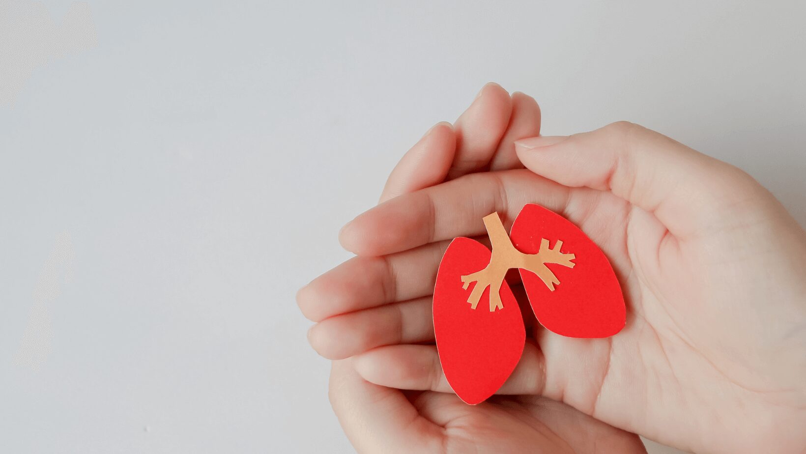 two hands holding a red handmade lung on a gray background