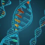 La molecola di DNA colorata Genetica